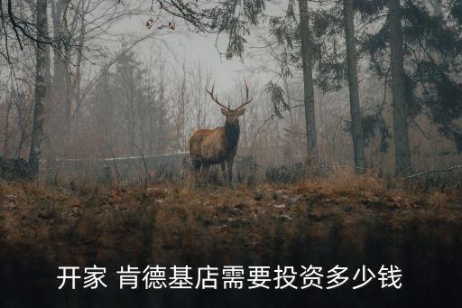 开家 肯德基店需要投资多少钱