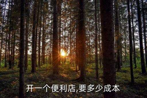 商场小柜台加盟费用多少钱