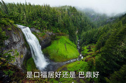 是口福居好还是 巴鼎好