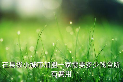 在县级小城市加盟一家需要多少钱含所有费用