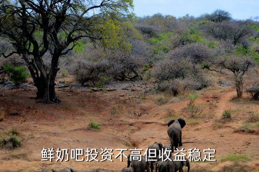 鲜奶吧投资不高但收益稳定