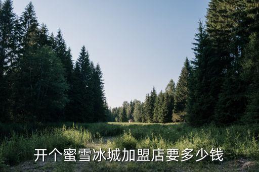 开个蜜雪冰城加盟店要多少钱