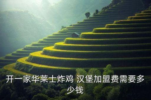 福建汉堡加盟店加盟费用,德克士汉堡加盟店费用多少钱