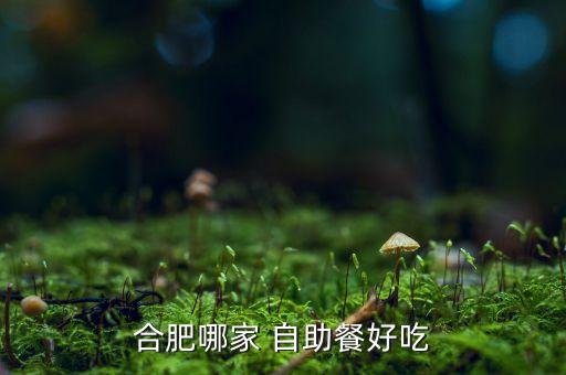 汉斯特自助烤肉加盟费,良乡汉斯特自助烤肉多少钱一位