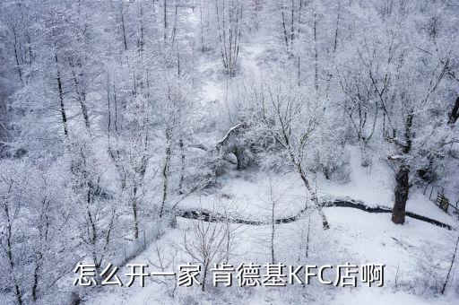 怎么开一家 肯德基KFC店啊