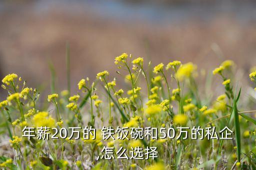 年薪20万的 铁饭碗和50万的私企,怎么选择