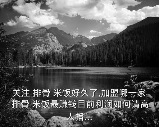 关注 排骨 米饭好久了,加盟哪一家 排骨 米饭最赚钱目前利润如何请高人指...