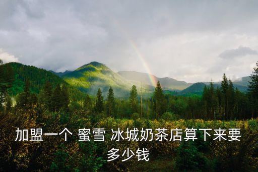 加盟一个 蜜雪 冰城奶茶店算下来要多少钱