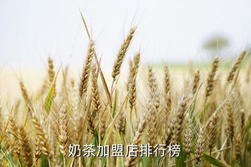 奶茶加盟店排行榜