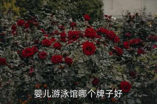 婴儿游泳馆哪个牌子好