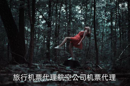 旅行机票代理航空公司机票代理