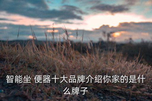 智能坐 便器十大品牌介绍你家的是什么牌子