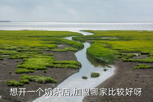 想开一个奶茶店,加盟哪家比较好呀