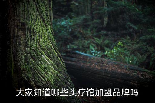 大家知道哪些头疗馆加盟品牌吗