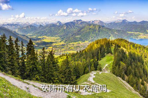 安陆市有U 衣库吗