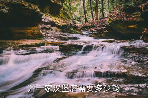 开一家汉堡店需要多少钱