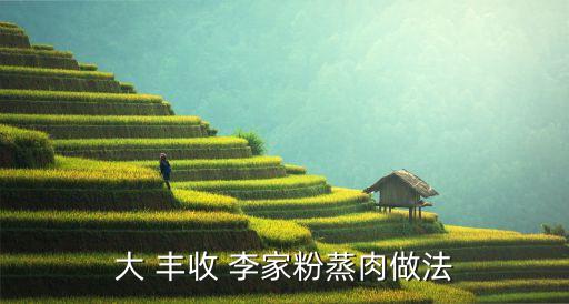 大 丰收 李家粉蒸肉做法