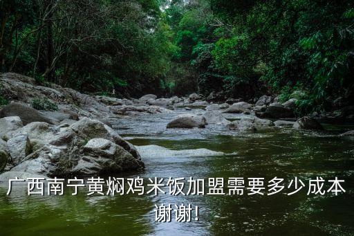 广西南宁黄焖鸡米饭加盟需要多少成本谢谢!