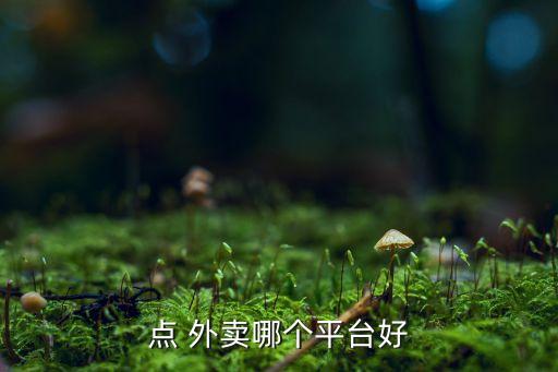 点 外卖哪个平台好