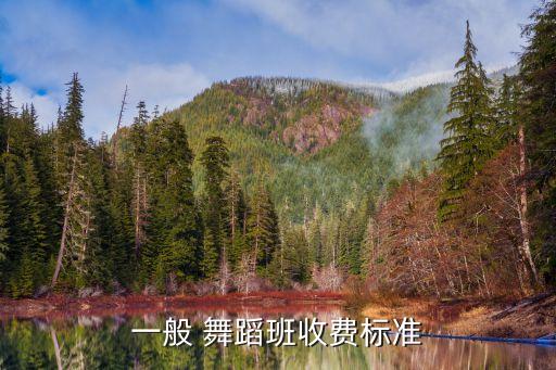 一般 舞蹈班收费标准