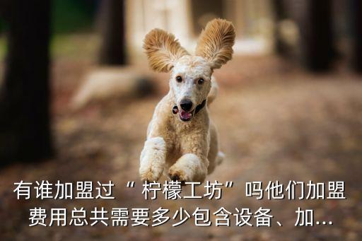 有谁加盟过“ 柠檬工坊”吗他们加盟费用总共需要多少包含设备、加...