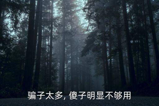 骗子太多, 傻子明显不够用