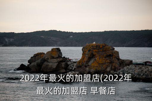 2022年最火的加盟店(2022年最火的加盟店 早餐店