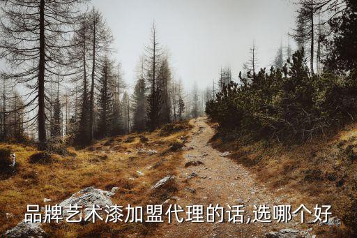 品牌艺术漆加盟代理的话,选哪个好
