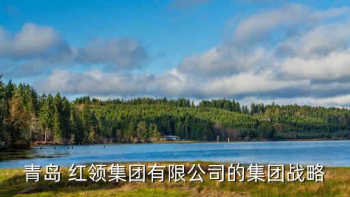 红领男装定制加盟费用,红领定制加盟要加盟费吗