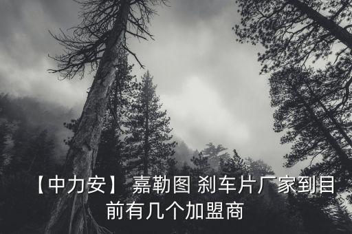 【中力安】 嘉勒图 刹车片厂家到目前有几个加盟商