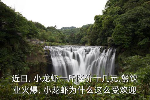 近日, 小龙虾一斤降价十几元,餐饮业火爆, 小龙虾为什么这么受欢迎