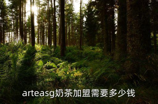 arteasg奶茶加盟需要多少钱