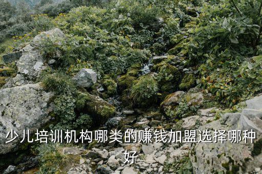 少儿培训机构哪类的赚钱加盟选择哪种好