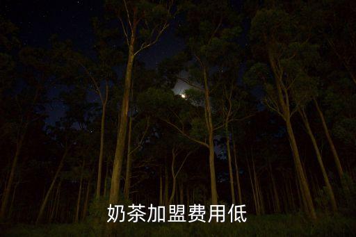 奶茶加盟费用低