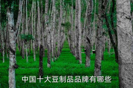 中国十大豆制品品牌有哪些