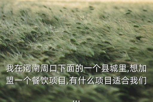 我在河南周口下面的一个县城里,想加盟一个餐饮项目,有什么项目适合我们...