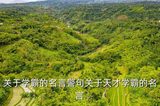 关于学霸的名言警句关于天才学霸的名言