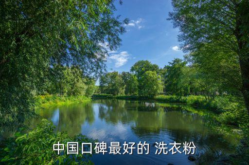中国口碑最好的 洗衣粉