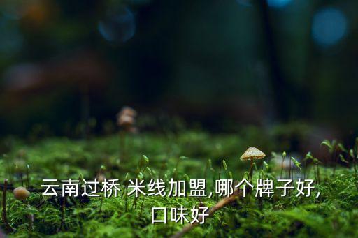  云南过桥 米线加盟,哪个牌子好,口味好