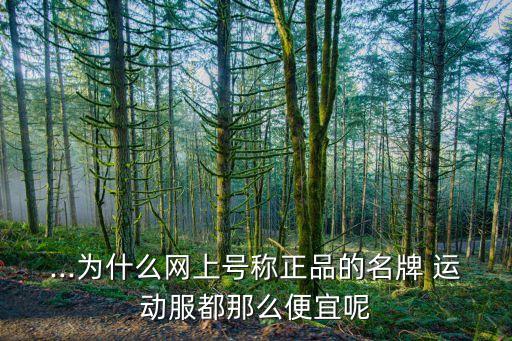 ...为什么网上号称正品的名牌 运动服都那么便宜呢