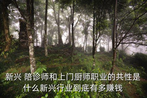 新兴 陪诊师和上门厨师职业的共性是什么新兴行业到底有多赚钱