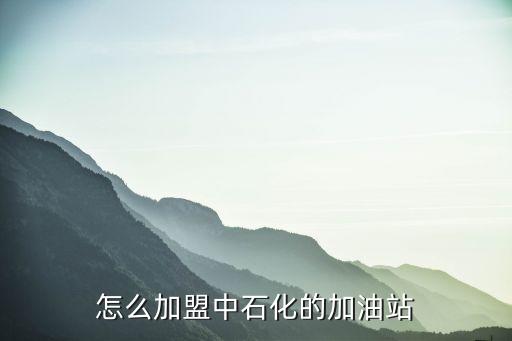 关于中国石油加盟费用多少