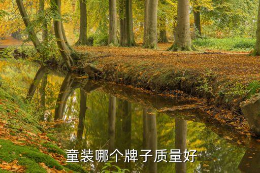  童装哪个牌子质量好