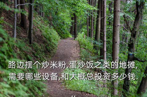 路边摆个炒米粉,蛋炒饭之类的地摊,需要哪些设备,和大概总投资多少钱...