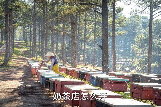 倾茶之恋加盟费多少