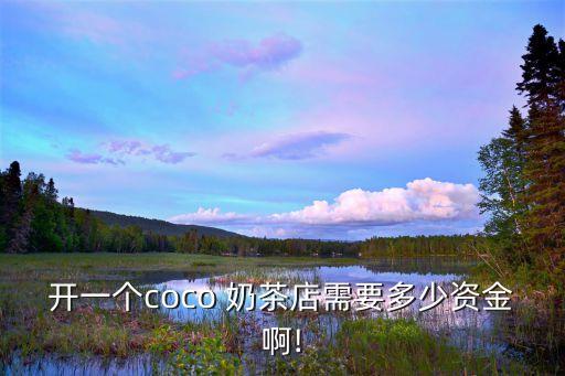 开一个coco 奶茶店需要多少资金啊!