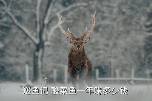 安徽酸菜砂锅鱼加盟费多少
