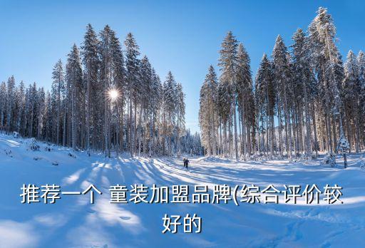 推荐一个 童装加盟品牌(综合评价较好的