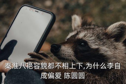 陈圆圆加盟费