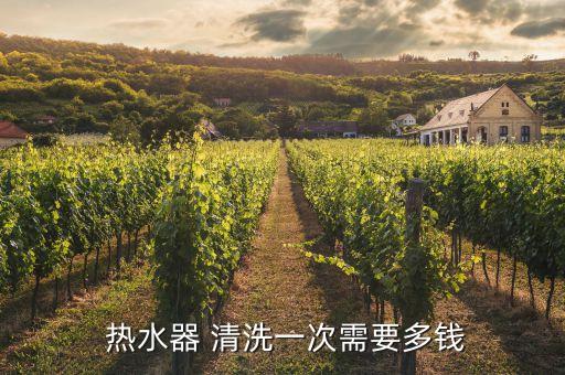  热水器 清洗一次需要多钱